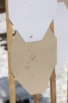 IMG_4201